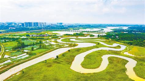 溫州到達州怎麼坐車—沿途風景與交通方式的大討論